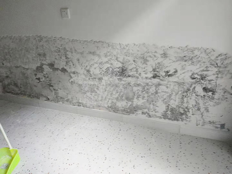墻面局部鏟除防水：1、清理墻面：以鏟刀清除墻面已松動的膩子層。用鏟刀無法清除的膩子層，可以用小錘子輕輕敲擊，如果沒有空鼓的聲音，并且敲后仍不松動的地方可以保留原有的基層。 2、清洗墻面：用清潔水或洗滌靈將表面的浮塵、油污進行徹底清洗干凈，然后用高壓水槍進行徹底沖洗，清除已粉化的涂層。 3、修補墻面： （1）基層起皮的處理方法：鋼絲刷刷掉起皮的涂料面層，刷界面劑，重新進行涂料施工。 （2）基層裂縫的處理方法：開V型槽，掛抗堿玻纖網格布，水泥砂漿抹面，批刮柔性膩子，進行涂料施工。 （3）基層空鼓的處理方法：云石機切出空鼓的墻面，薄而多遍的水泥砂漿抹面，達到原有墻面的高度，刷界面劑，然后進行涂料施工。