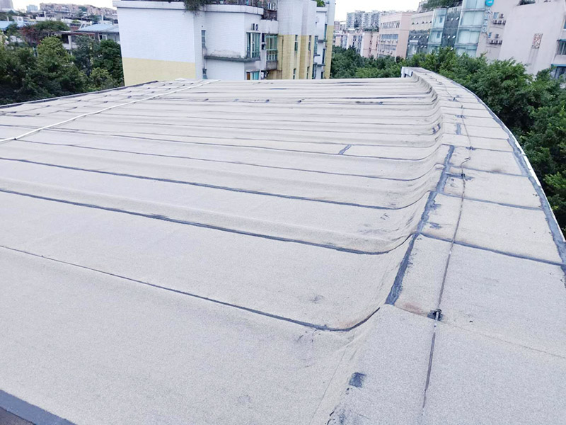 作為普通消費者，應該如何去判斷房屋防水補漏公司是否專業靠譜呢
