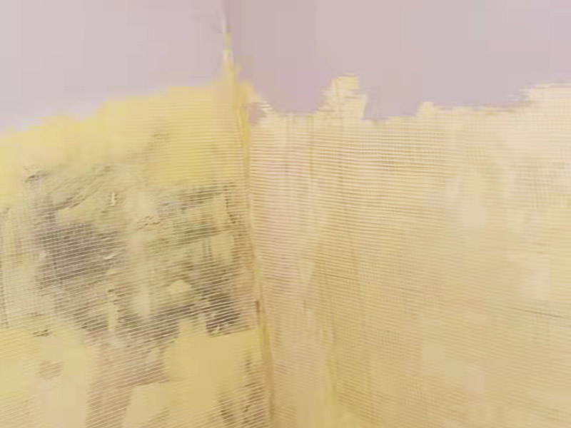 墻面刷墻掛網