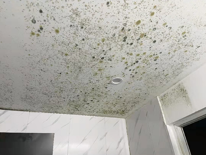 墻面發霉問題